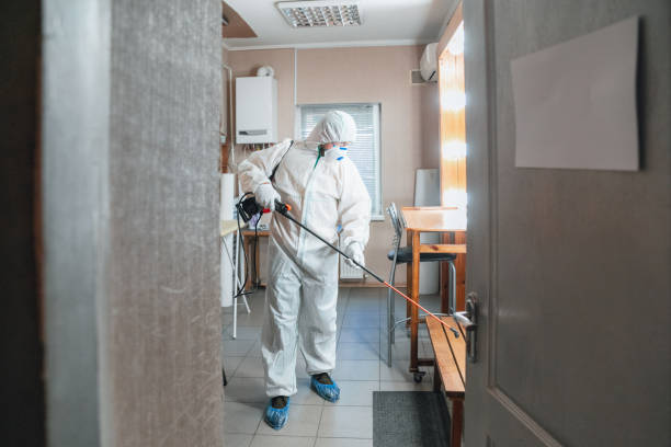 Best Forensic Mold Investigation  in Decatur, IL