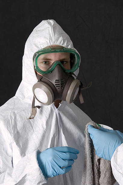  Decatur, IL Mold Removal Pros